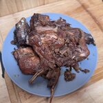 IMG_7215.jpeg IMG_7215.jpeg