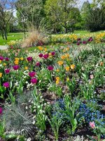 Nov-Dez 2025 044.jpg