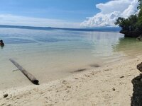 WhatsApp Image 2026-01-01 at 15.14.51 (1).jpeg