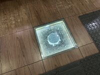 IMG_5062.jpeg IMG_5062.jpeg