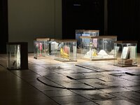 IMG_5082.jpeg IMG_5082.jpeg