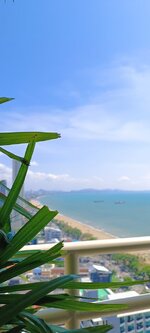 IMG_20240220_140118.jpg IMG_20240220_140118.jpg