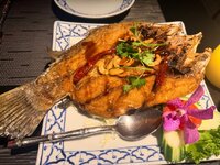 IMG_2850.jpeg IMG_2850.jpeg