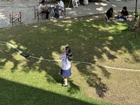 IMG_5127.jpeg IMG_5127.jpeg