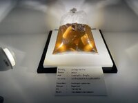 IMG_5137.jpeg IMG_5137.jpeg