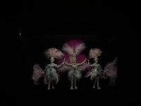 IMG_5145.jpeg IMG_5145.jpeg