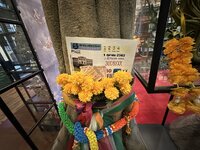 IMG_5152.jpeg IMG_5152.jpeg