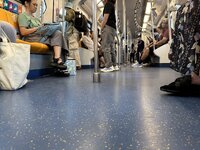 IMG_5323.jpeg IMG_5323.jpeg