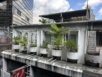 IMG_5326.jpeg IMG_5326.jpeg