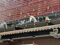 IMG_5331.jpeg IMG_5331.jpeg