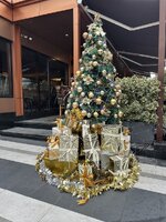 IMG_5338.jpeg IMG_5338.jpeg