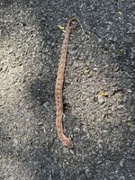 05c2dc0a-d076-46b1-9fa4-bcae992d8086.jpeg 05c2dc0a-d076-46b1-9fa4-bcae992d8086.jpeg