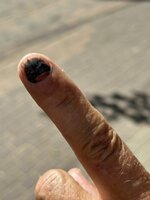 IMG_5677.jpeg IMG_5677.jpeg