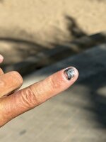 IMG_5678.jpeg IMG_5678.jpeg