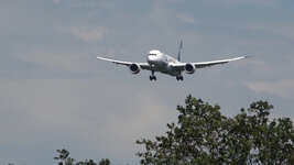 Duitsland-Frankfurt ''Flughafen-Egypt Air Boeing 787-9'' (1).jpg