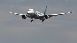 Duitsland-Frankfurt ''Flughafen-Egypt Air Boeing 787-9'' (2).jpg