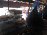 DSCN4257.JPG DSCN4257.JPG