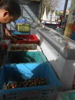 DSCN4279~2.JPG DSCN4279~2.JPG