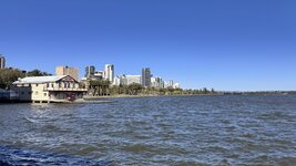 IMG_7481.jpeg IMG_7481.jpeg