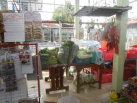 DSCN4285.JPG DSCN4285.JPG