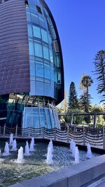 IMG_7473.jpeg IMG_7473.jpeg