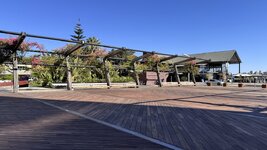 IMG_7474.jpeg IMG_7474.jpeg