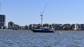 IMG_7480.jpeg IMG_7480.jpeg