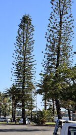 IMG_7489.jpeg IMG_7489.jpeg