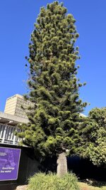 IMG_7488.jpeg IMG_7488.jpeg