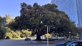 IMG_7469.jpeg IMG_7469.jpeg