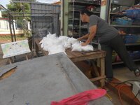 DSCN4290.JPG DSCN4290.JPG