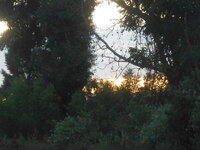 DSCN4304.JPG DSCN4304.JPG