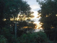 DSCN4303.JPG DSCN4303.JPG