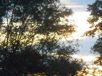 DSCN4307.JPG DSCN4307.JPG