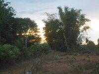 DSCN4302.JPG DSCN4302.JPG