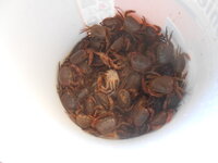 DSCN4338.JPG DSCN4338.JPG