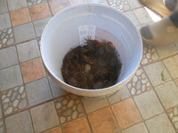 DSCN4337.JPG DSCN4337.JPG