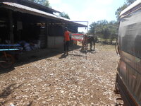 DSCN4358.JPG DSCN4358.JPG