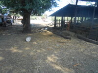 DSCN4364.JPG DSCN4364.JPG