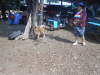 DSCN4368.JPG DSCN4368.JPG