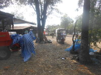 DSCN4366.JPG DSCN4366.JPG