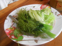 DSCN4355.JPG DSCN4355.JPG