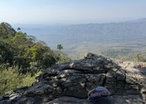 IMG_2342.jpeg IMG_2342.jpeg