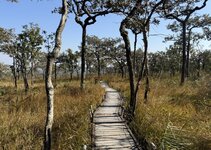 IMG_2344.jpeg IMG_2344.jpeg