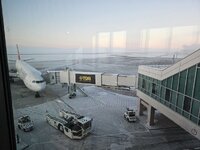 20251206_083317.jpg 20251206_083317.jpg