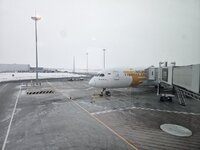 20260104_085550.jpg 20260104_085550.jpg