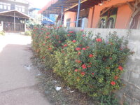 DSCN4449.JPG DSCN4449.JPG