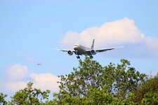 Duitsland-Frankfurt ''Flughafen-Etihad Cargo Boeing 777'' (1).JPG