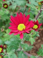 2024-10-20 13.43.35.jpg