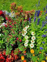 2024 Pattaya 039.jpg